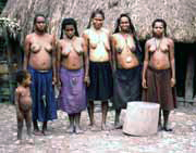 Domorodci z kmene Dani. Indonsie.