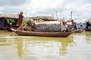 ivot na vod v Mekong delt.  Vietnam.