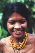 Brouen zubou - jedna z mentawajskch tradic. Ostrov Siberut. Indonsie.