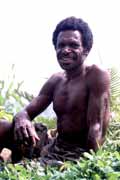Domorodec z kmene Dani. Papua, Indonsie.