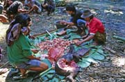 Na pohebn slavnosti. Pprava jdla na jednu z mnoha hostin. Oblast Tana Toraja. Indonsie.