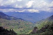 Krajina na cest z msteka Mamasa do Rantepao. Oblast Tana Toraja. Indonsie.