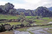 Rovit podl cesty z mstka Mamasa do Rantepao. Oblast Tana Toraja. Sulawesi, Indonsie.