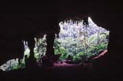 Jeskyn Niah. Sarawak,  Malajsie.