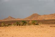 Pou Sahara. Niger.