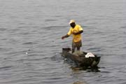 Ryb u Lobe vodopd. Kamerun.