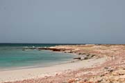 Severn pobe ostrova Socotra v oblasti rezervace Dihamri. Jemen.