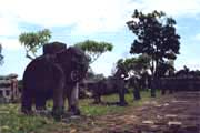 Krlovsk hrobky Thieu Tri u Hue. Vietnam.