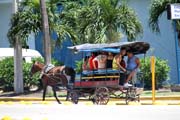 Typick poulin transport, Santa Clara. Kuba.