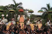 Pakalpooram (proces slon), Ernakulam Shiva Temple Festival (Ernakulathappan Uthsavam). Ernakulam, Kerala. Indie.