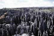 Velk Tsingy, Tsingy de Bemaraha Nrodn park. Madagaskar.