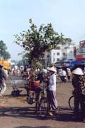 Ran trh v Saigonu. Vietnam.
