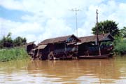 ivot na vod v Mekong delt. Vietnam.